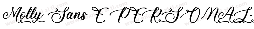 Molly Sans E PERSONAL字体转换